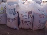 Animal Feeds for Poultry and Livestock - фото 2