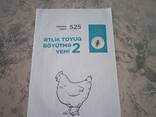 Animal Feeds for Poultry and Livestock - фото 3