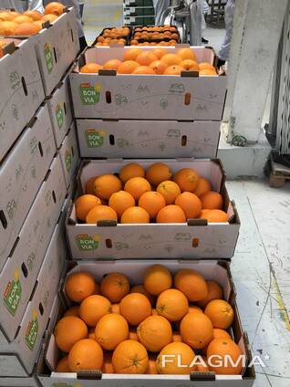 Апельсины Египет