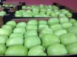 Apple - photo 2