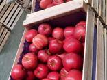 Apples from Poland - фото 3
