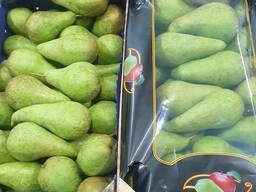Best pears from Poland wholesale