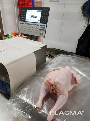 Broiler chicken carcass