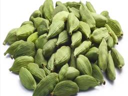 Cardamon