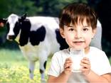 Drink milk powder 26% fat content - photo 2