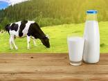 Drink milk powder 26% fat content - photo 14