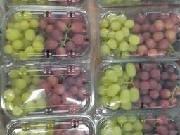Egyptian grapes