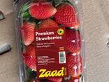 Fresh Strawberry - photo 3