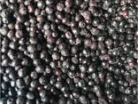 Frozen berries, fruits, berry-fruit and compote mixes. - фото 7