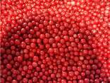 Frozen berries, fruits, berry-fruit and compote mixes. - фото 9