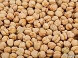 Greenfield Incorporation sells Chickpea - photo 1