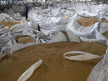 High Protein Animal Feed Corn DDGS - фото 3