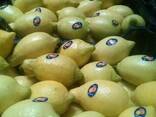 Лимон. Египет - фото 2