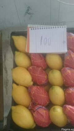 Лимон Верна из Египта