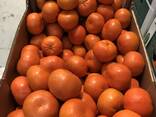Мандарины W Моркот - фото 11