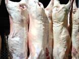 Mutton / Lamb meat - фото 2
