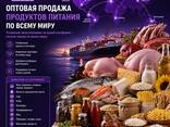 Мясо Баранина - фото 10