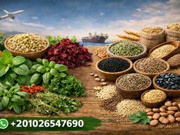 Organic Pure Herbs. Global Quality. Direct From Source. Egypt