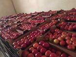 Polish apples (wide range of varieties) - photo 1