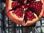 Pomegranate - фото 1