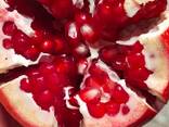Pomegranate - фото 3