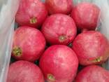 Pomegranate - фото 5
