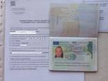 Приглашение на сезонные работы ZASWIADCZENIE Сезонное приглашение в Польшу засвядчение ! - фото 3