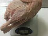 We offer the frozen chicken carcasses on an export. - photo 2