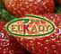 Elkady Company for Export of Agriculture Products, LLC
