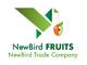 NewBird Trade Company, ООО
